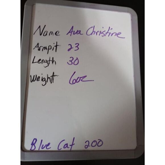 Ava Christine Shirt Ladies 1x Black and‎ White Light Weight - Picture 7 of 7